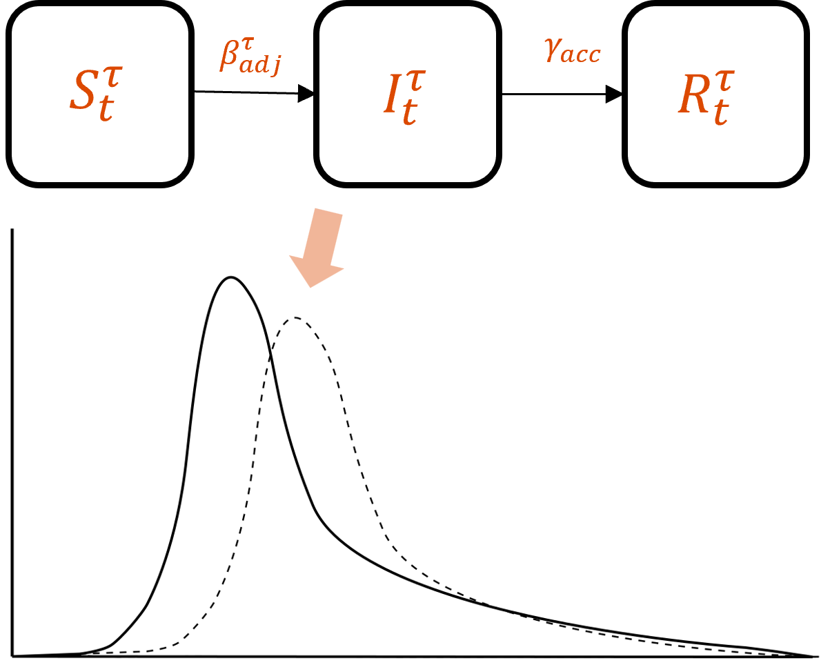 Mechanistic epidemiological model and adjusted epidemic curves